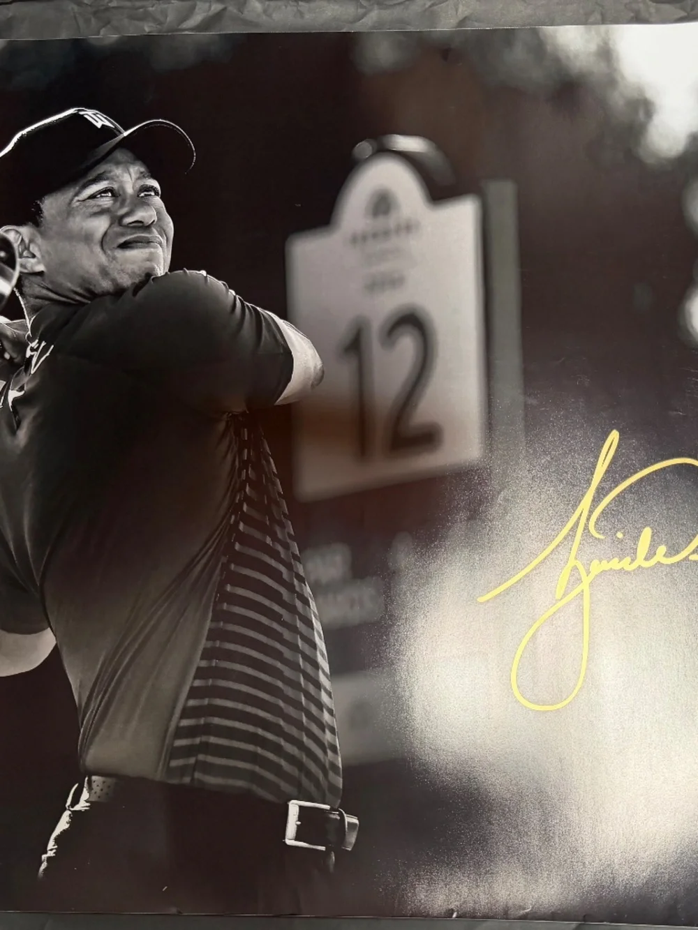 Tiger Woods Poster autographed  image 24 x 30